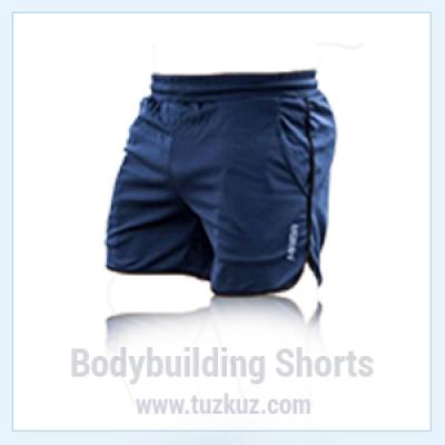 New Men Fitness Summer Bodybuilding Shorts